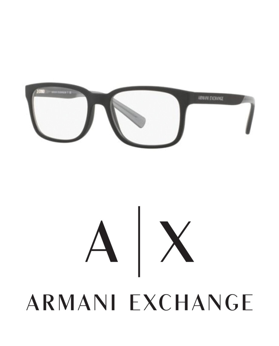 Armani Exchange AX3029 8182